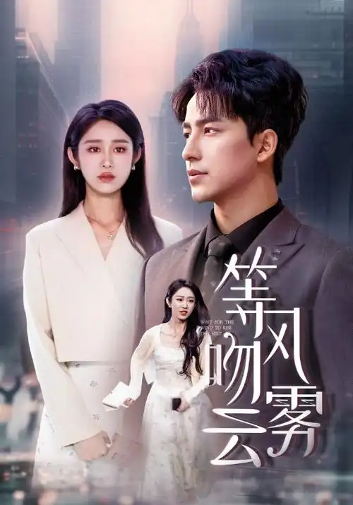 长夜灯火 热播电视剧全集免费在线观看